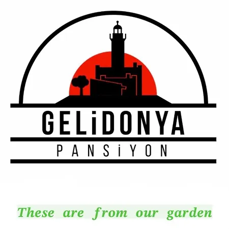 Gelidonya *